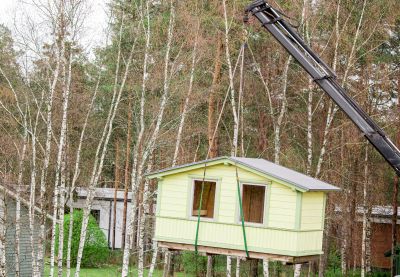 Tree Relocation