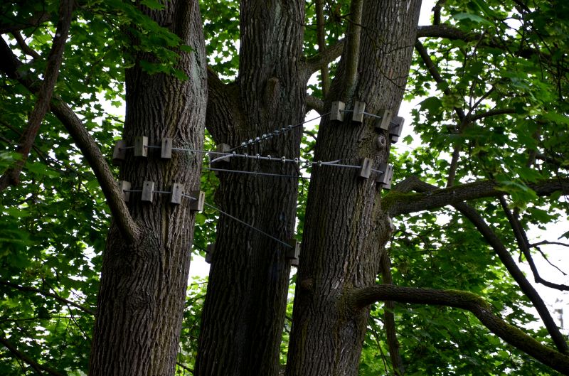 Tree Stabilization Methods