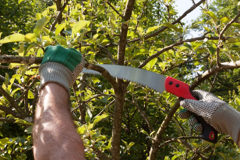Pruning Overgrown Branches
